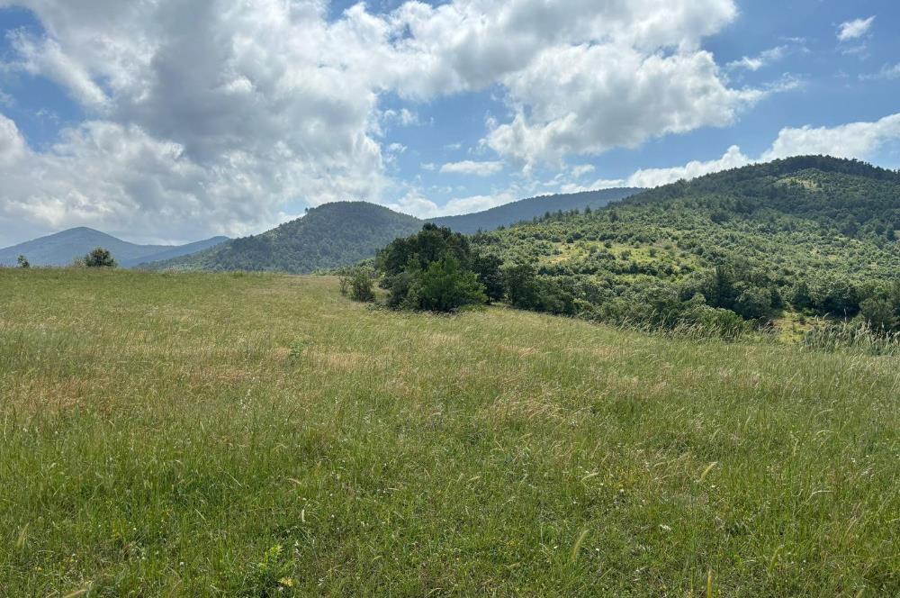ÇANAKKALE BAYRAMİÇ KAYKILAR'DA 7.224 M² YOLA CEPHELİ TARLA