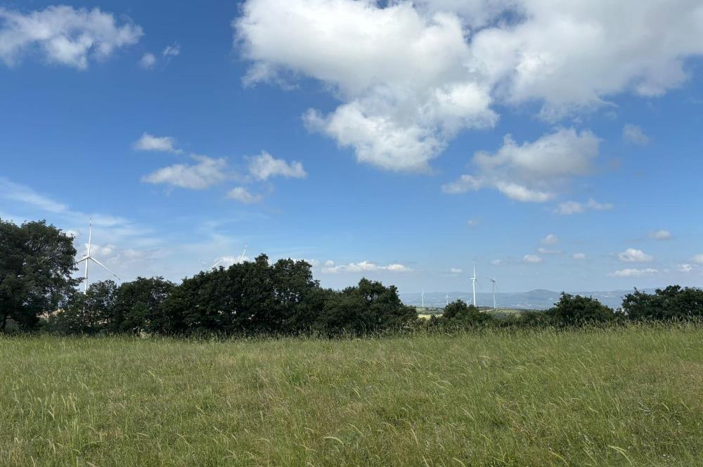 ÇANAKKALE BAYRAMİÇ KAYKILAR'DA 7.224 M² YOLA CEPHELİ TARLA