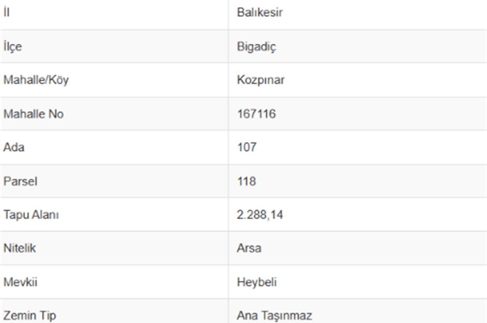 C21 Bal'dan Bigadiç Kozpınar'da Satılık Arsa