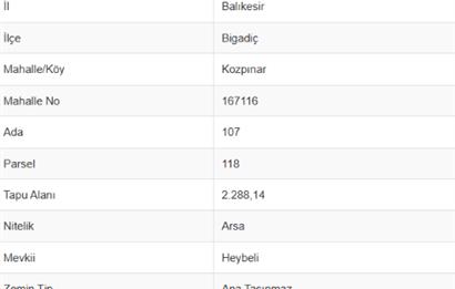 C21 Bal'dan Bigadiç Kozpınar'da Satılık Arsa