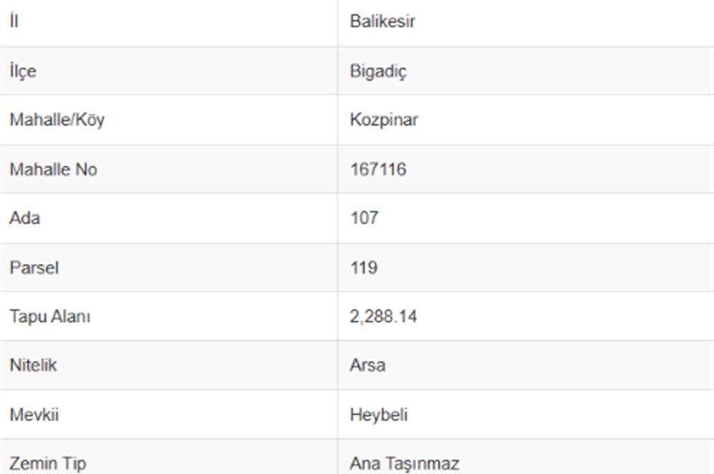 C21 Bal'dan Bigadiç Kozpınar'da Satılık Arsa