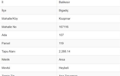 C21 Bal'dan Bigadiç Kozpınar'da Satılık Arsa
