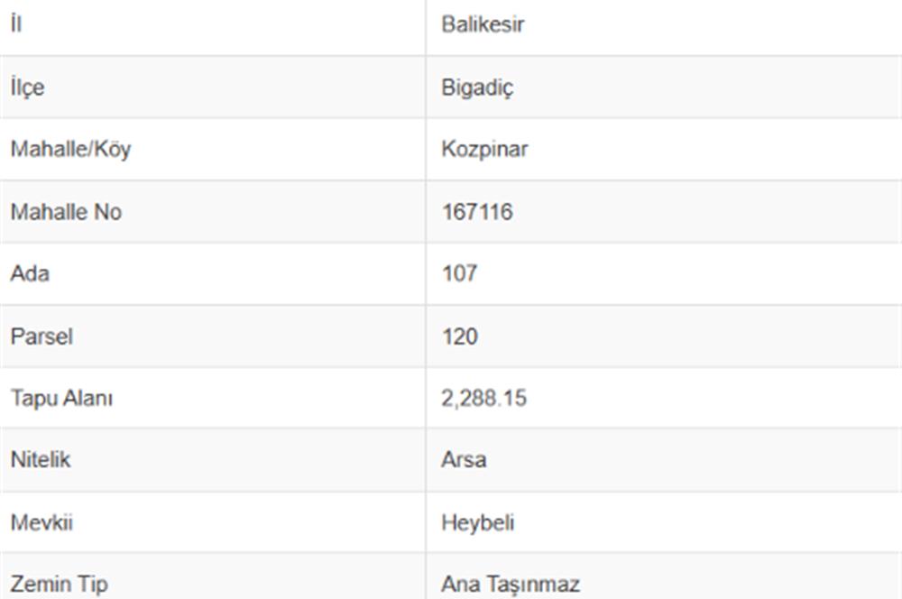 C21 Bal'dan Bigadiç Kozpınar'da Satılık Arsa