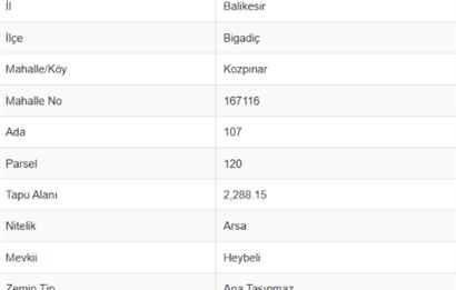 C21 Bal'dan Bigadiç Kozpınar'da Satılık Arsa