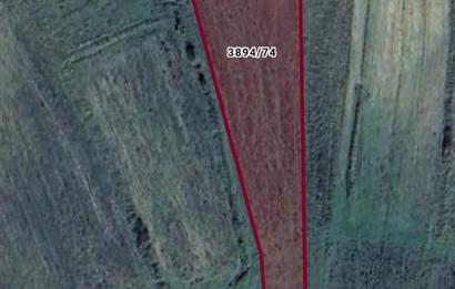 Şile Bucaklı'da 6.946 m² Satılık Tarla - Yatırım Fırsat