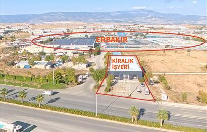 C21 LOFT'TAN İZMİR ASFALTI ÜZERİNDE 4.000 m² KİRALIK KOMPLE BİNA