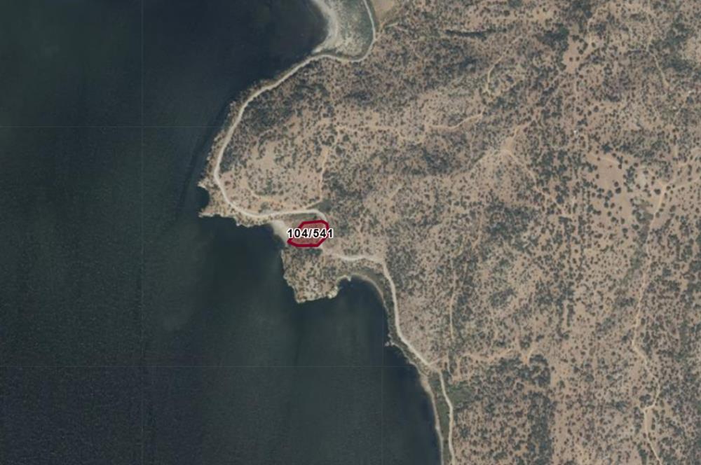 AYDIN, SÖKE, SERÇİN' DE BAFA GÖLÜ MANZARALI 2.893 M2 ZEYTİNLİK