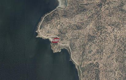 AYDIN, SÖKE, SERÇİN' DE BAFA GÖLÜ MANZARALI 2.893 M2 ZEYTİNLİK