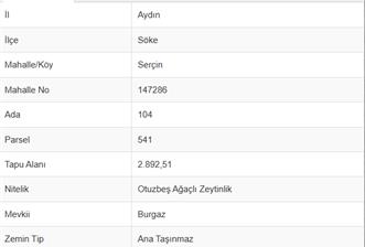 AYDIN, SÖKE, SERÇİN' DE BAFA GÖLÜ MANZARALI 2.893 M2 ZEYTİNLİK - 2 - 37711