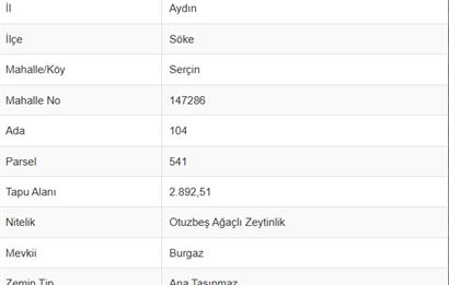 AYDIN, SÖKE, SERÇİN' DE BAFA GÖLÜ MANZARALI 2.893 M2 ZEYTİNLİK