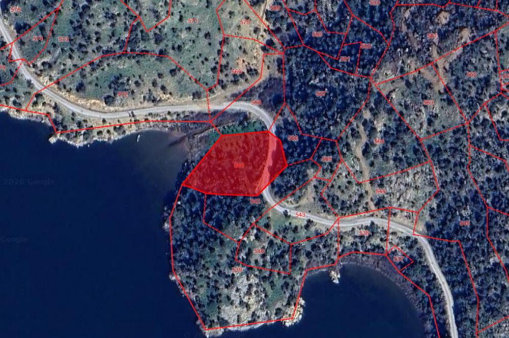 AYDIN, SÖKE, SERÇİN' DE BAFA GÖLÜ MANZARALI 2.893 M2 ZEYTİNLİK