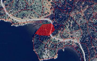 AYDIN, SÖKE, SERÇİN' DE BAFA GÖLÜ MANZARALI 2.893 M2 ZEYTİNLİK