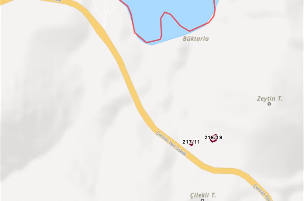 MUĞLA, MİLAS, PINARCIKTA 710 M2 SATILIK ZEYTİNLİK