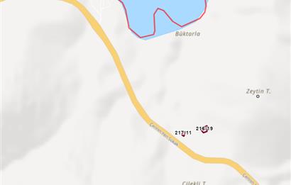 MUĞLA, MİLAS, PINARCIKTA 710 M2 SATILIK ZEYTİNLİK
