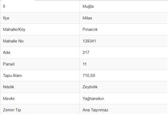 MUĞLA, MİLAS, PINARCIKTA 710 M2 SATILIK ZEYTİNLİK - 3 - 37706