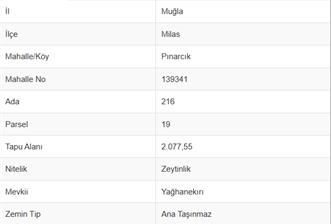 MUĞLA, MİLAS, PINARCIKTA 2.077 M2 SATILIK ZEYTİNLİK - 2 - 37708