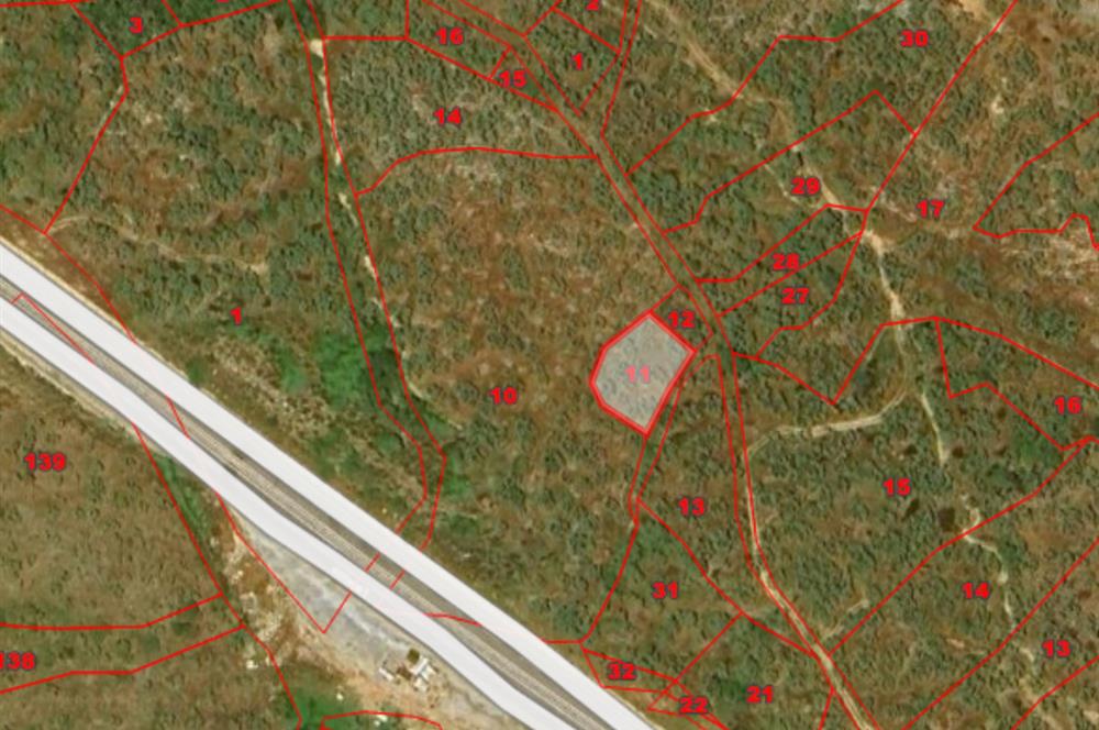 MUĞLA, MİLAS, PINARCIKTA 710 M2 SATILIK ZEYTİNLİK