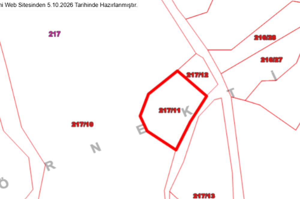 MUĞLA, MİLAS, PINARCIKTA 710 M2 SATILIK ZEYTİNLİK