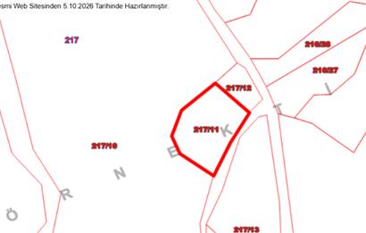 MUĞLA, MİLAS, PINARCIKTA 710 M2 SATILIK ZEYTİNLİK