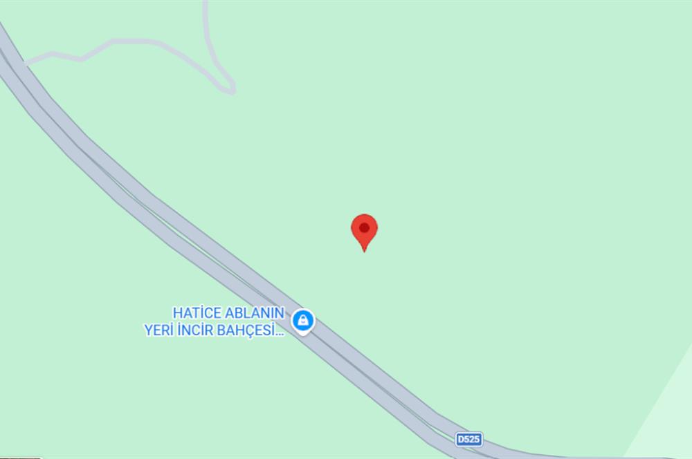 MUĞLA, MİLAS, PINARCIKTA 710 M2 SATILIK ZEYTİNLİK