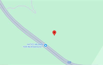 MUĞLA, MİLAS, PINARCIKTA 710 M2 SATILIK ZEYTİNLİK