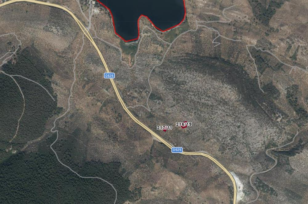 MUĞLA, MİLAS, PINARCIKTA 710 M2 SATILIK ZEYTİNLİK