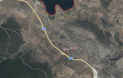 MUĞLA, MİLAS, PINARCIKTA 710 M2 SATILIK ZEYTİNLİK