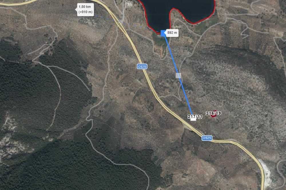 MUĞLA, MİLAS, PINARCIKTA 710 M2 SATILIK ZEYTİNLİK