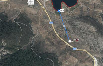 MUĞLA, MİLAS, PINARCIKTA 710 M2 SATILIK ZEYTİNLİK