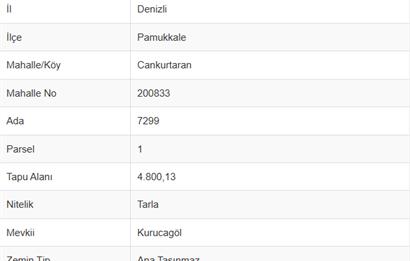 DENİZLİ, CANKURTARAN MAH. SATILIK YOL KENARI 4.800 M2 TARLA