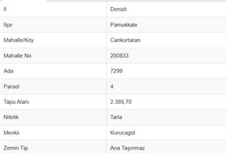 DENİZLİ, CANKURTARAN MAH. SATILIK YOL KENARI 2.385 M2 TARLA - 2 - 37709