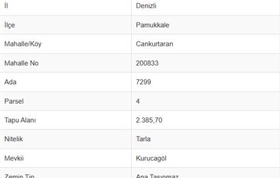 DENİZLİ, CANKURTARAN MAH. SATILIK YOL KENARI 2.385 M2 TARLA