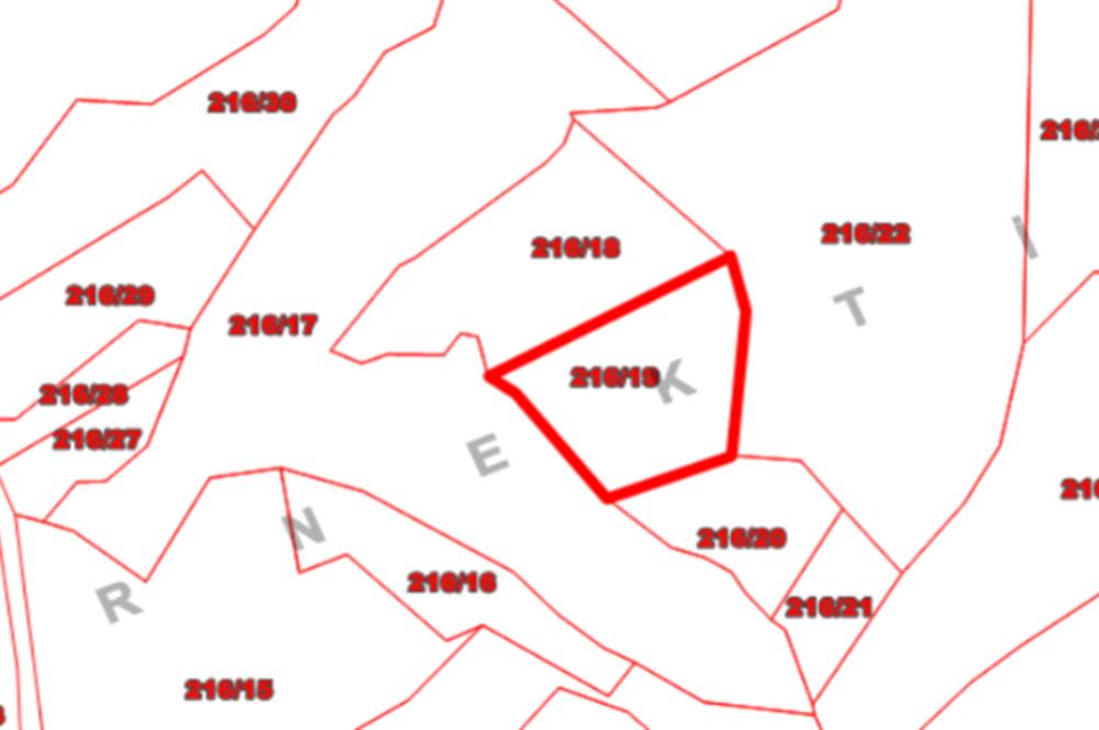 MUĞLA, MİLAS, PINARCIKTA 2.077 M2 SATILIK ZEYTİNLİK