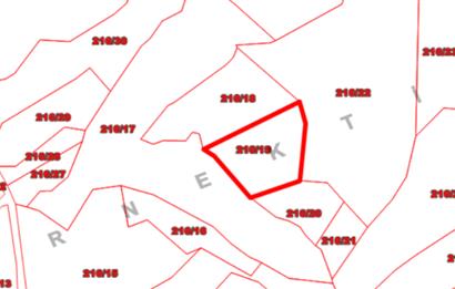 MUĞLA, MİLAS, PINARCIKTA 2.077 M2 SATILIK ZEYTİNLİK