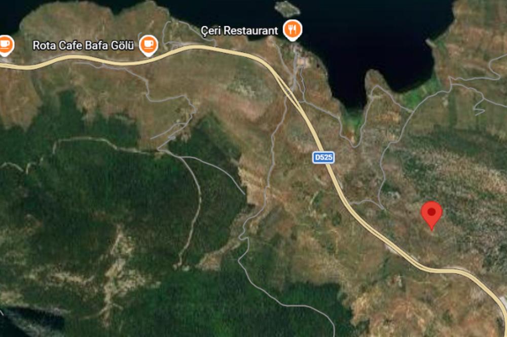 MUĞLA, MİLAS, PINARCIKTA 2.077 M2 SATILIK ZEYTİNLİK