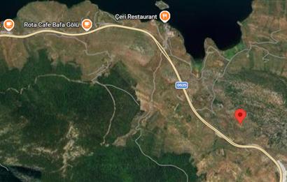 MUĞLA, MİLAS, PINARCIKTA 2.077 M2 SATILIK ZEYTİNLİK