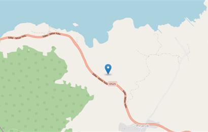 MUĞLA, MİLAS, PINARCIKTA 2.077 M2 SATILIK ZEYTİNLİK