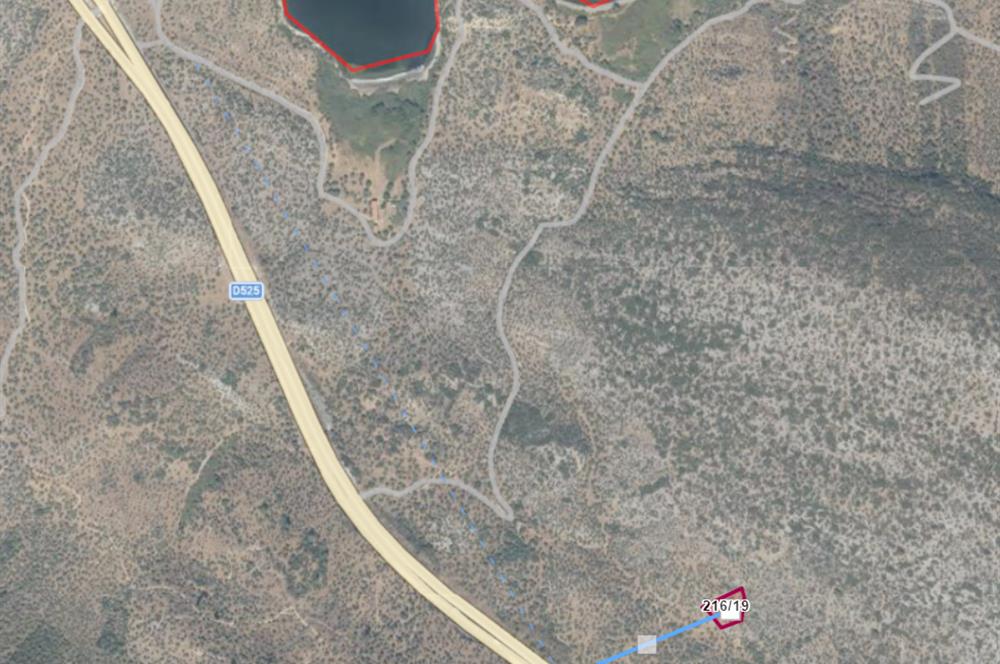 MUĞLA, MİLAS, PINARCIKTA 2.077 M2 SATILIK ZEYTİNLİK
