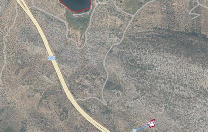 MUĞLA, MİLAS, PINARCIKTA 2.077 M2 SATILIK ZEYTİNLİK