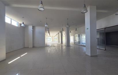 C21 LOFT'TAN İZMİR ASFALTI ÜZERİNDE 4.000 m² KİRALIK KOMPLE BİNA