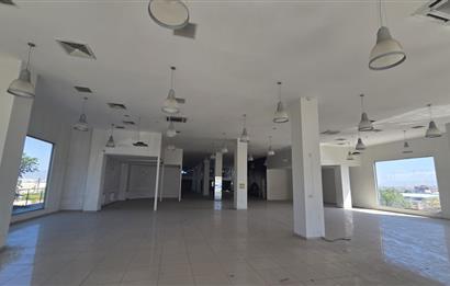 C21 LOFT'TAN İZMİR ASFALTI ÜZERİNDE 4.000 m² KİRALIK KOMPLE BİNA