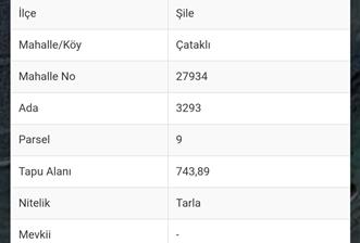 Şile Çataklı'da 743.89 m² Satılık Tarla - Yatırım Fırsatı - 3 - 37821