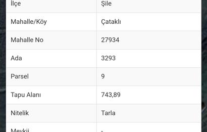 Şile Çataklı'da 743.89 m² Satılık Tarla - Yatırım Fırsatı