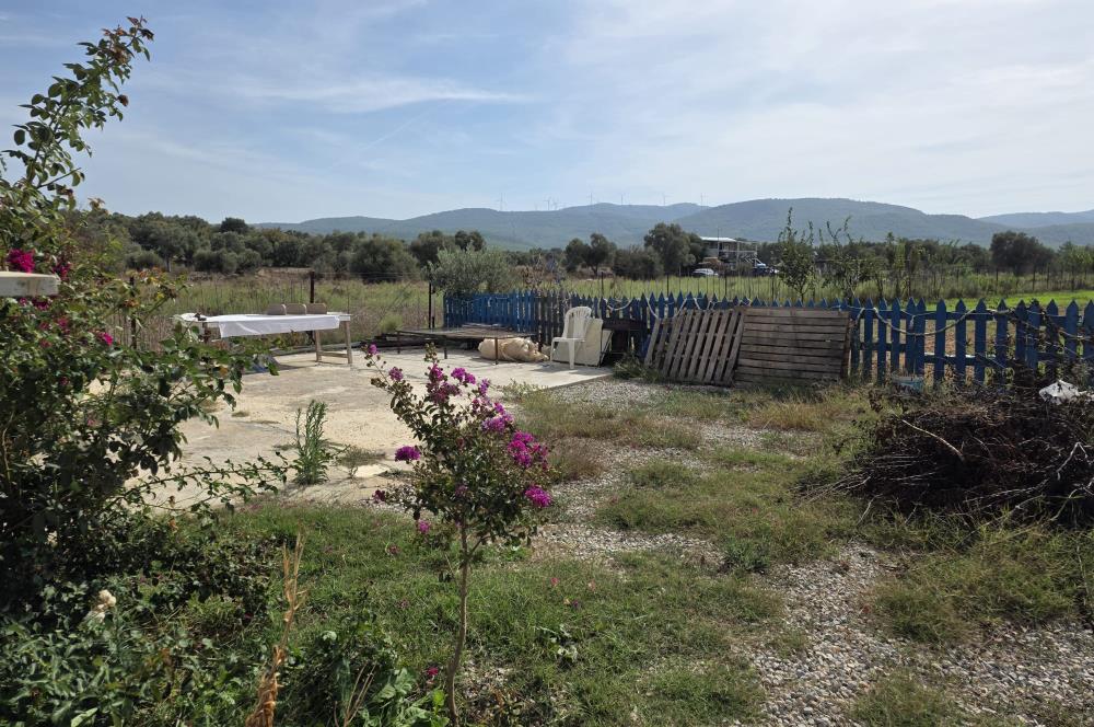 Mumcular Gökyer yıllık  kiralık 1698 m2 tarla ve icerisinde 1+1 esyalı müstakil ev