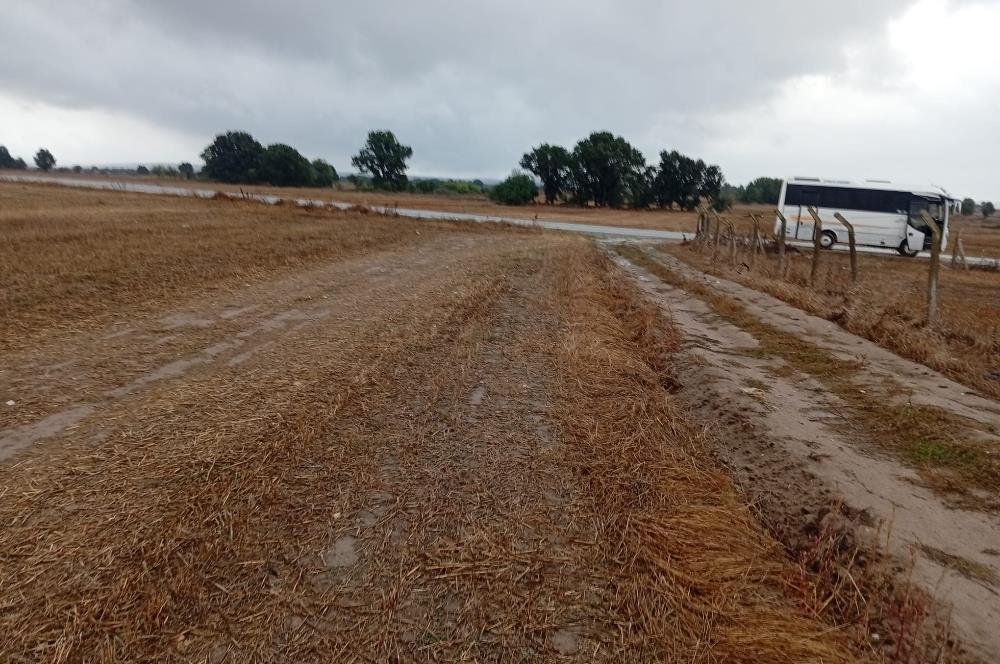 Tekirdağ Saray'da Küçükyoncalı Yolu Üzerinde Yola Cepheli Tarla