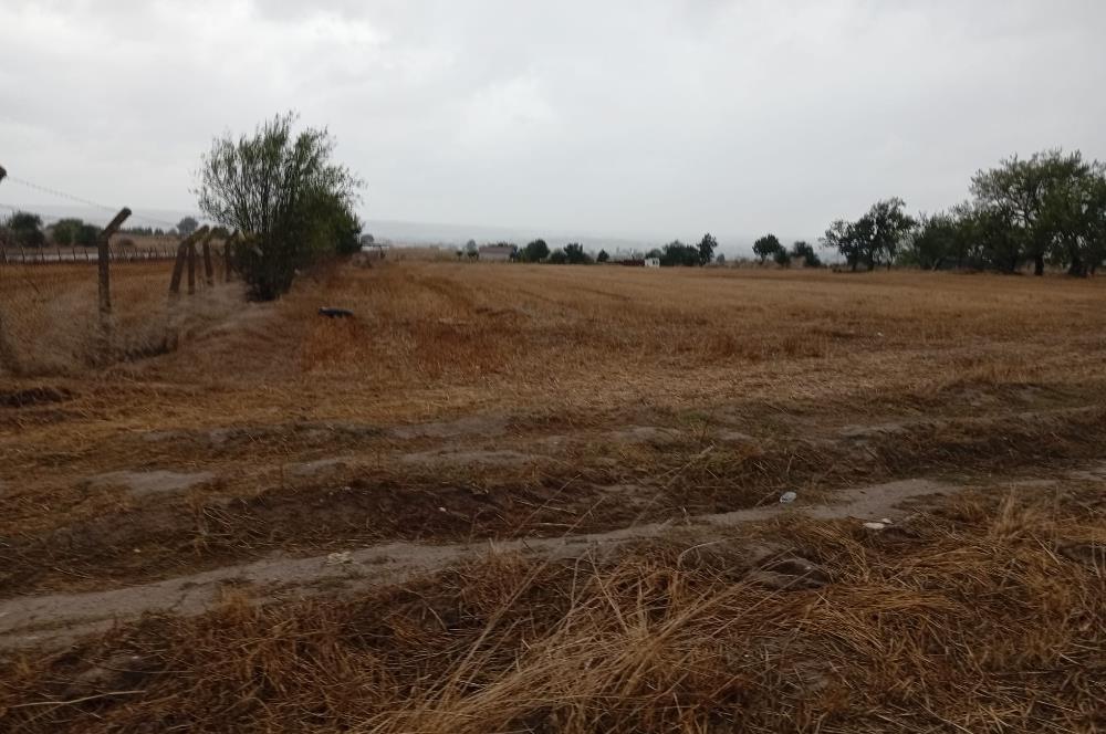 Tekirdağ Saray'da Küçükyoncalı Yolu Üzerinde Yola Cepheli Tarla