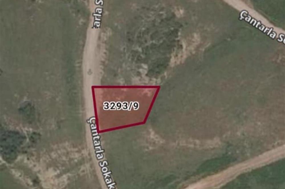 Şile Çataklı'da 743.89 m² Satılık Tarla - Yatırım Fırsatı