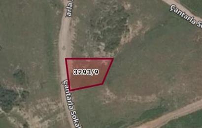 Şile Çataklı'da 743.89 m² Satılık Tarla - Yatırım Fırsatı
