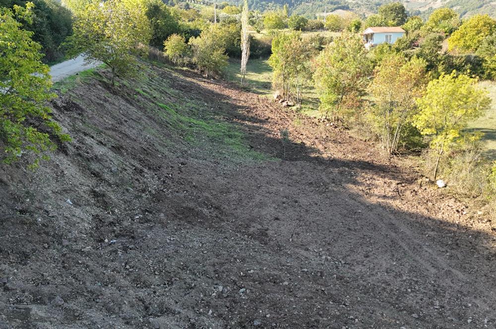 C21 Cius; Şükriye Köyünde Yola Cepheli 545 m² İmarlı Arsa
