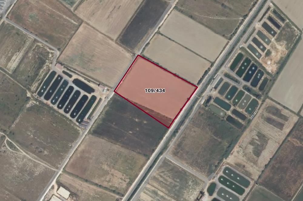 Milas Avşar'da Satılık 20.464 m² Arazi